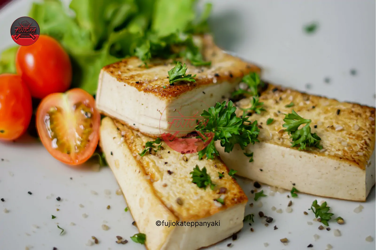 Organic Tofu Steak
